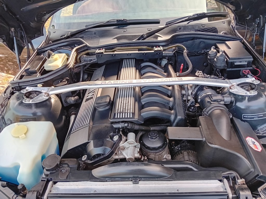 20231001_115423.jpg