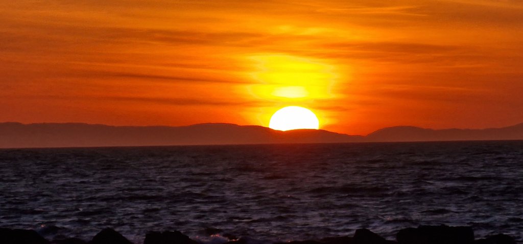 20240419_203007.jpg