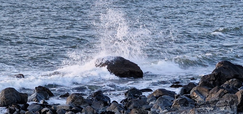 20240419_203335.jpg