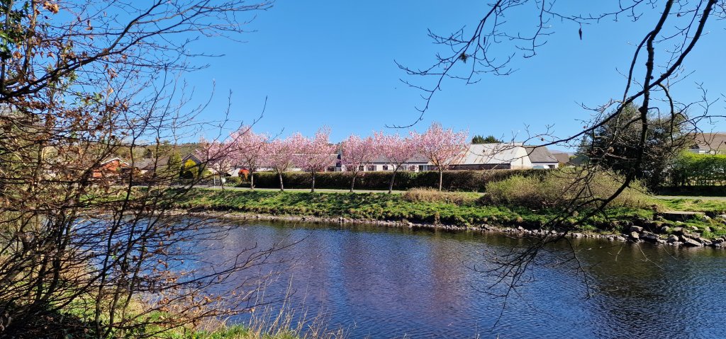 20250406_114016.jpg