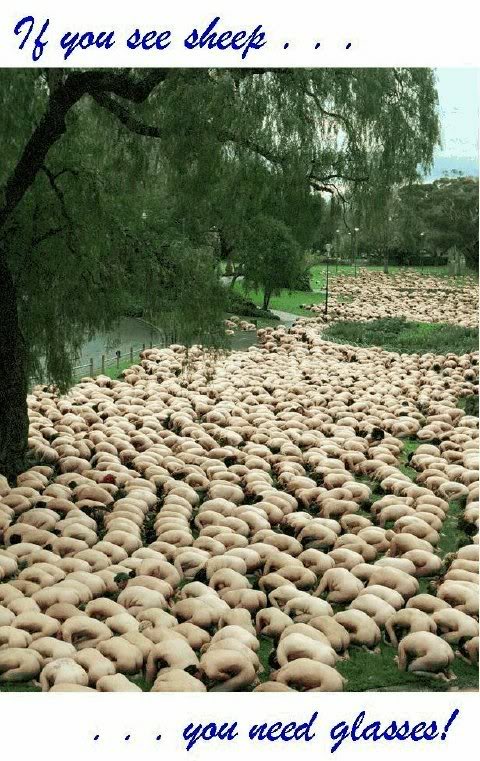 ai69.photobucket.com_albums_i71_kjax84_sheep.jpg