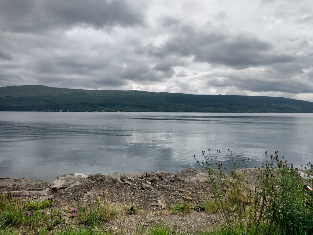 IMG_20230704_134129633_HDR.jpg