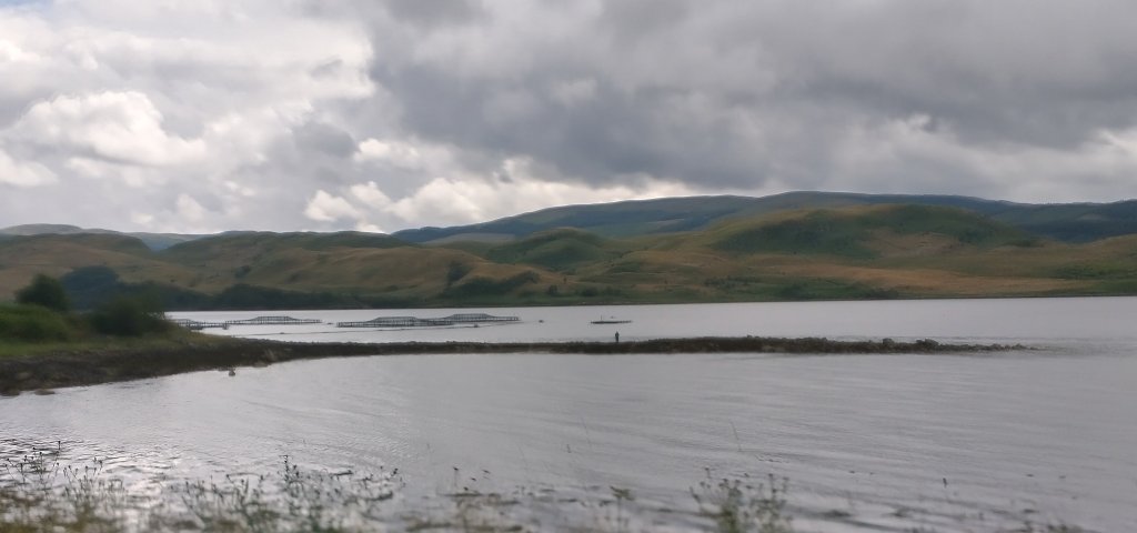 IMG_20230706_114253449_HDR~2.jpg