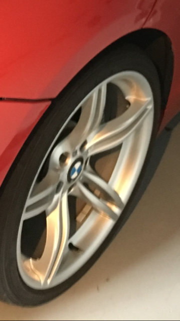 IMG_7335.PNG