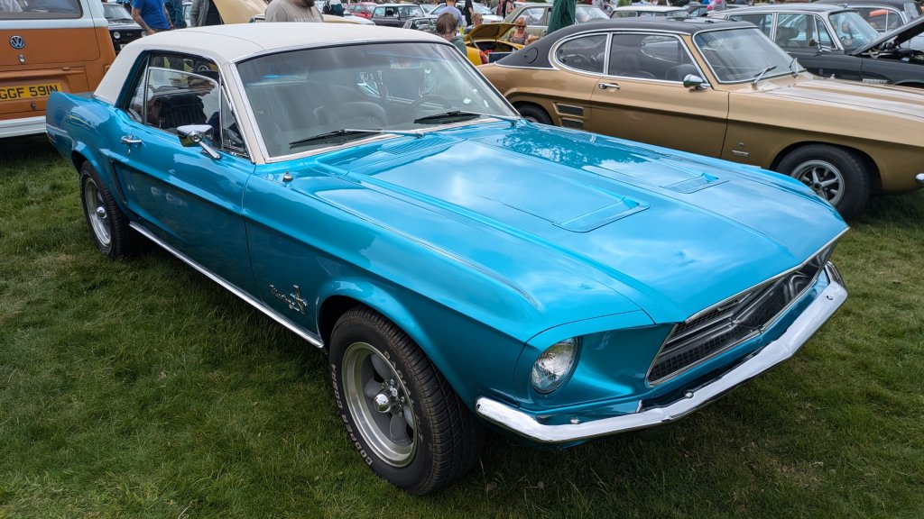 PXL_20250518_104415922.MP.jpg