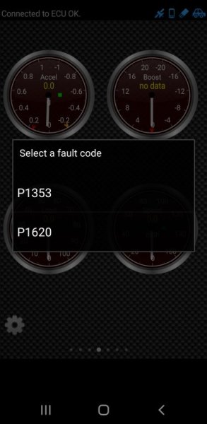 Screenshot_20230713-181237_Torque (Lite).jpg