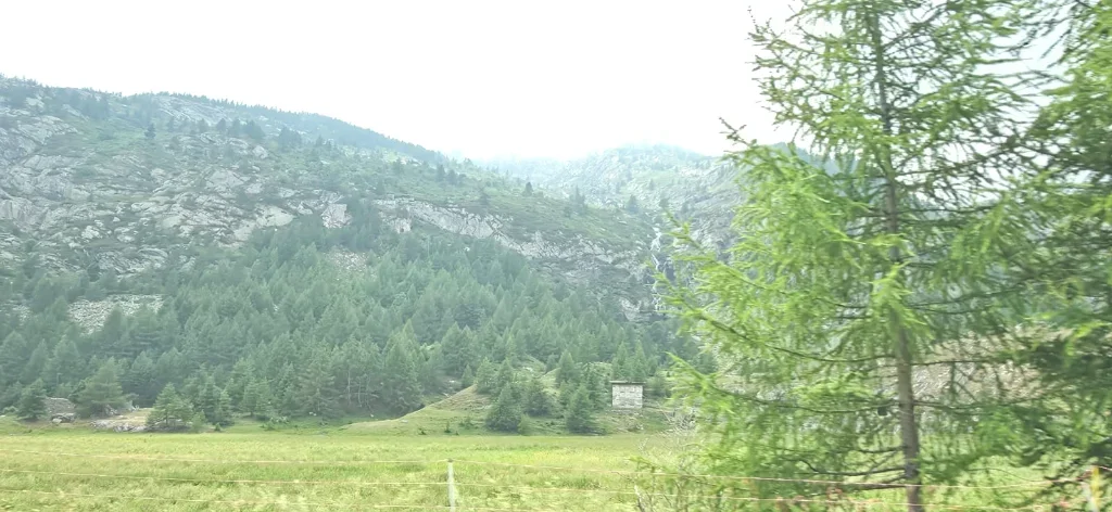 IMG-20260624-WA0020.webp