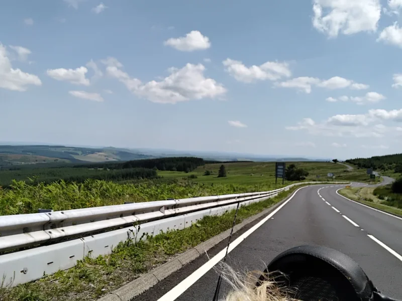 1000011614.webp
