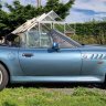 Bluebird65